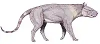 Synoplotherium vorax