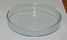 Petri dish