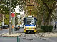 Trams in Szeged