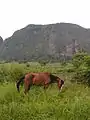 Viñales Valley