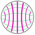 TE1,1 mode of a circular hollow metallic waveguide.