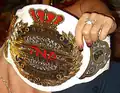 The original design of the Knockouts Championship