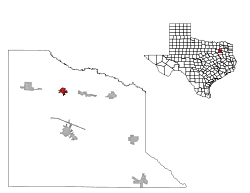 Location of Edgewood, Texas