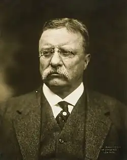 Former PresidentTheodore Rooseveltof New York(Refused nomination)