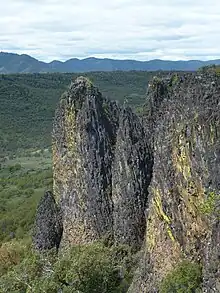 Several very tall columns of dark gray rock rising out of a forest