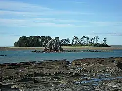 Tāhunanui Beach