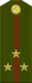 Лейтенанти калонLejtenanti kalon(Tajik National Army)