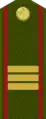 СержантSerzhant(Tajik Ground Forces)