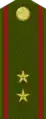 ПрапоршикPraporshik(Tajik Ground Forces)