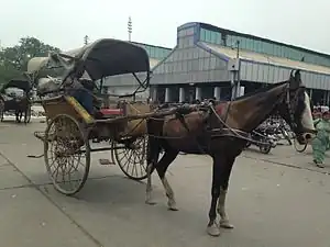 Tanga in Saharanpur, Uttar Pradesh, India