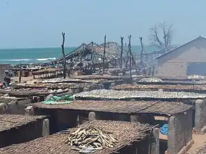 Fish being smoked in Tanji, The Gambia