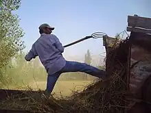 Youngish man wearing baseball cap pitchforking sticks into a trailer