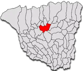 Location in Gorj County