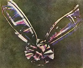 The first durable color photograph, taken by Thomas Sutton in 1861.