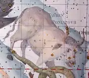 Taurus Poniatovii, constellation originated by Marcin Poczobutt in 1777 to honor the king Stanisław II Augustus