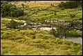 Tenterfield Creek