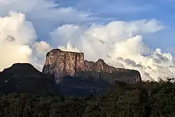 Tropical rainforest climate in Southern Venezuela