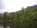 Campsite in Khao Khitchakut National Park, Thailand