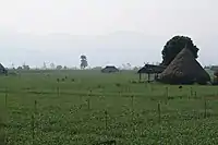 Thaton countryside