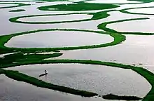 Fishing at Loktak Lake