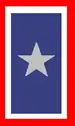 Silver Star Service Banner