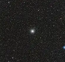 A small fuzzy white ball in the center of a speckled black backdrop