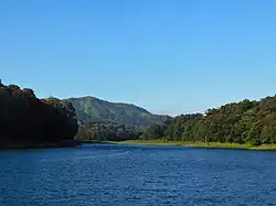 Landscape at Thekkady