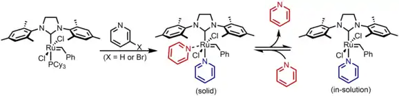 Third generation of Grubb's catalyst.