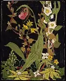 Moccasin Flower (Orchids, Algonquin Park), Spring 1916. Sketch. Private collection