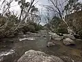 Thredbo River upstream of Thredbo Village