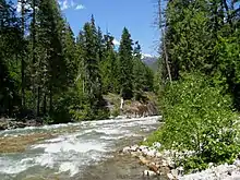 A medium-sized river flows through a wooded landscape. The water is slightly milky in appearance.