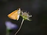 underside