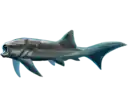 Titanichthys termieri