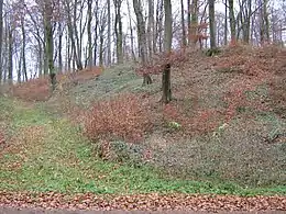 Remains of the oppidum ramparts