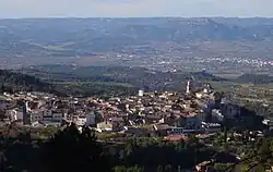 The village seen from La Llena. In the distance, Móra d'Ebre