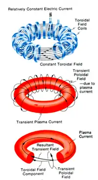 Tokamak magnetic field and plasma current.