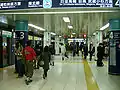 Namboku Line platforms