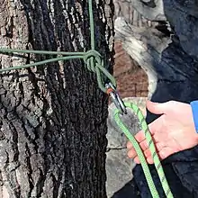 https://coloradomountainschool.com/product/top-rope-climbing-anchors/