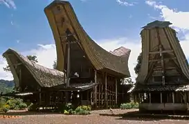 Tongkonan houses of the Toraja people, with the distinctive saddleback roofs reminiscent of boats