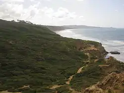 Torrey Pines State Reserve