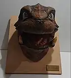 The model of Toto's head.