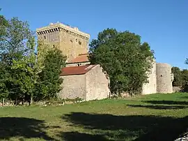 The tower in Viala-du-Pas-de-Jaux