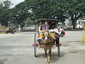 Tanga in Mysore, Karnataka, India