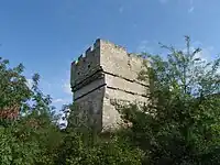 Cherven fortress