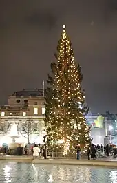 The Trafalgar Square Christmas tree