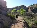 Hiking along the Main Trail.