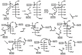 Reaction scheme for the conversion of sedoheptulose-7-phosphate to fructose-6-phosphate.