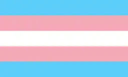 Trans pride flag, made up of horizontal stripes of (from top to bottom) light blue, pink, white (which represents nonbinary people), pink and light blue.