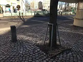 Tree guard that now cannot be removed intact due to the growth of the trunk, Helsinki