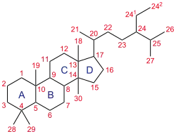 Steroid numbering